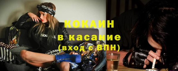 гашик Аркадак