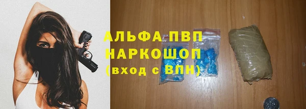 гашик Аркадак