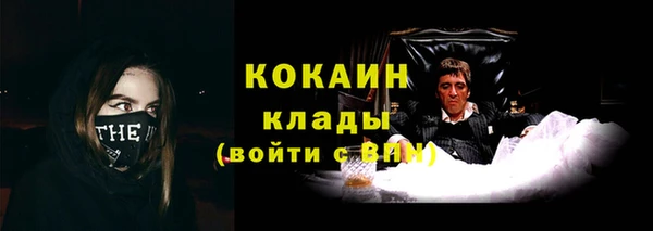 гашик Аркадак