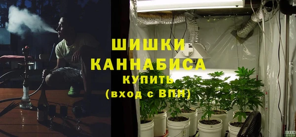 гашик Аркадак