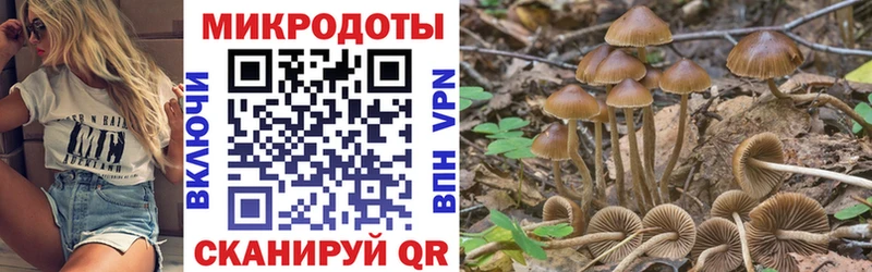 omg ссылка  Нюрба  Псилоцибиновые грибы MAGIC MUSHROOMS 